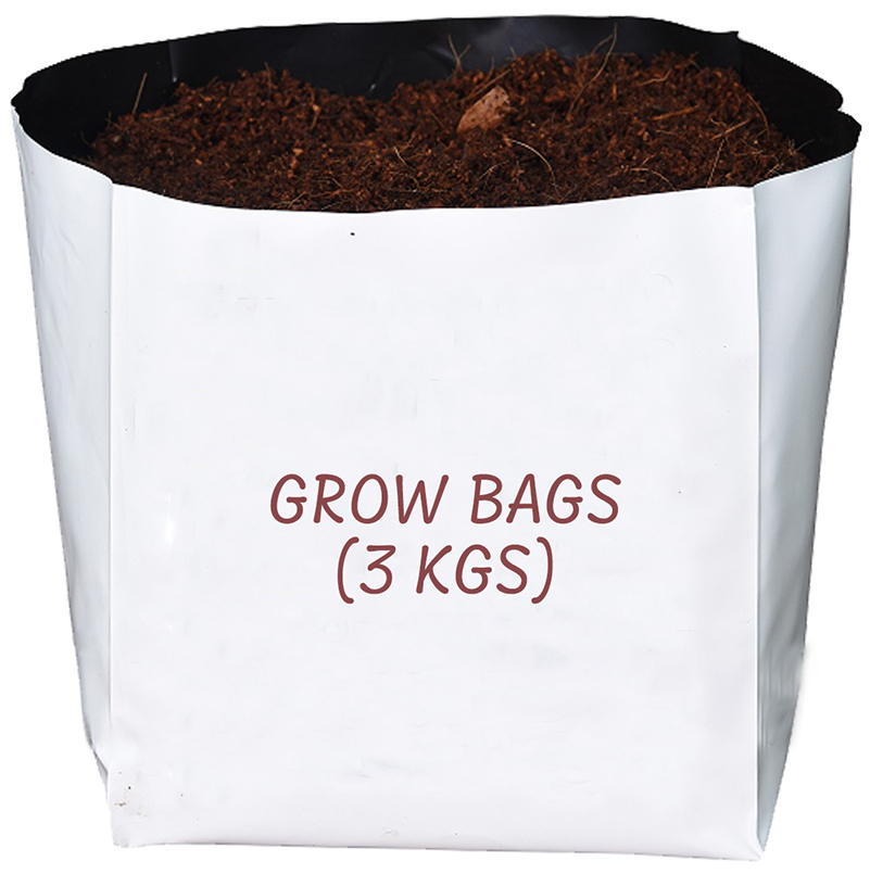 Growbag 1