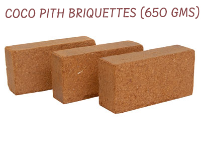 cocopithbriquettes